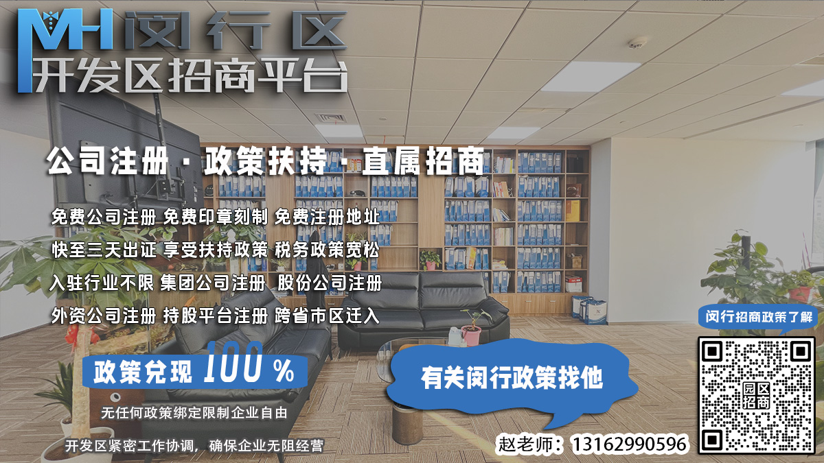 闵行开发区公司年检年报对财务审计有何规定？